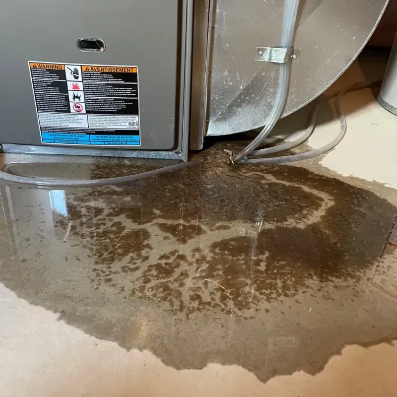 Appliance Leak Cleanup in Riverside, IA